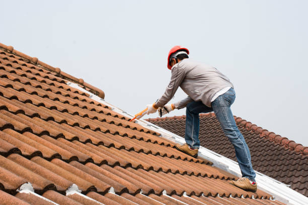 Best Asphalt Shingle Roofing  in Aquia Harbour, VA