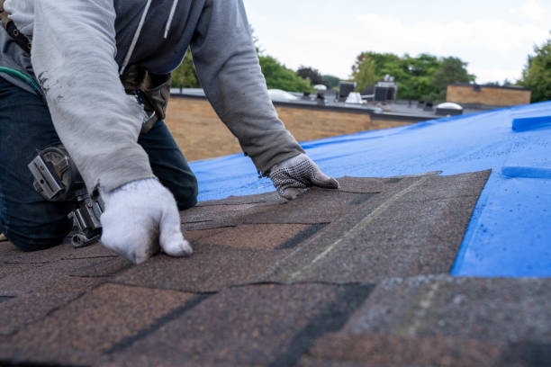 Best Roof Insulation Installation  in Aquia Harbour, VA