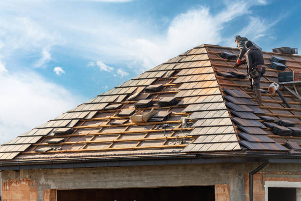 Best Roof Insulation Installation  in Aquia Harbour, VA